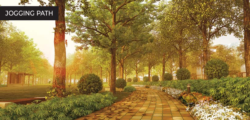 Jogging Path